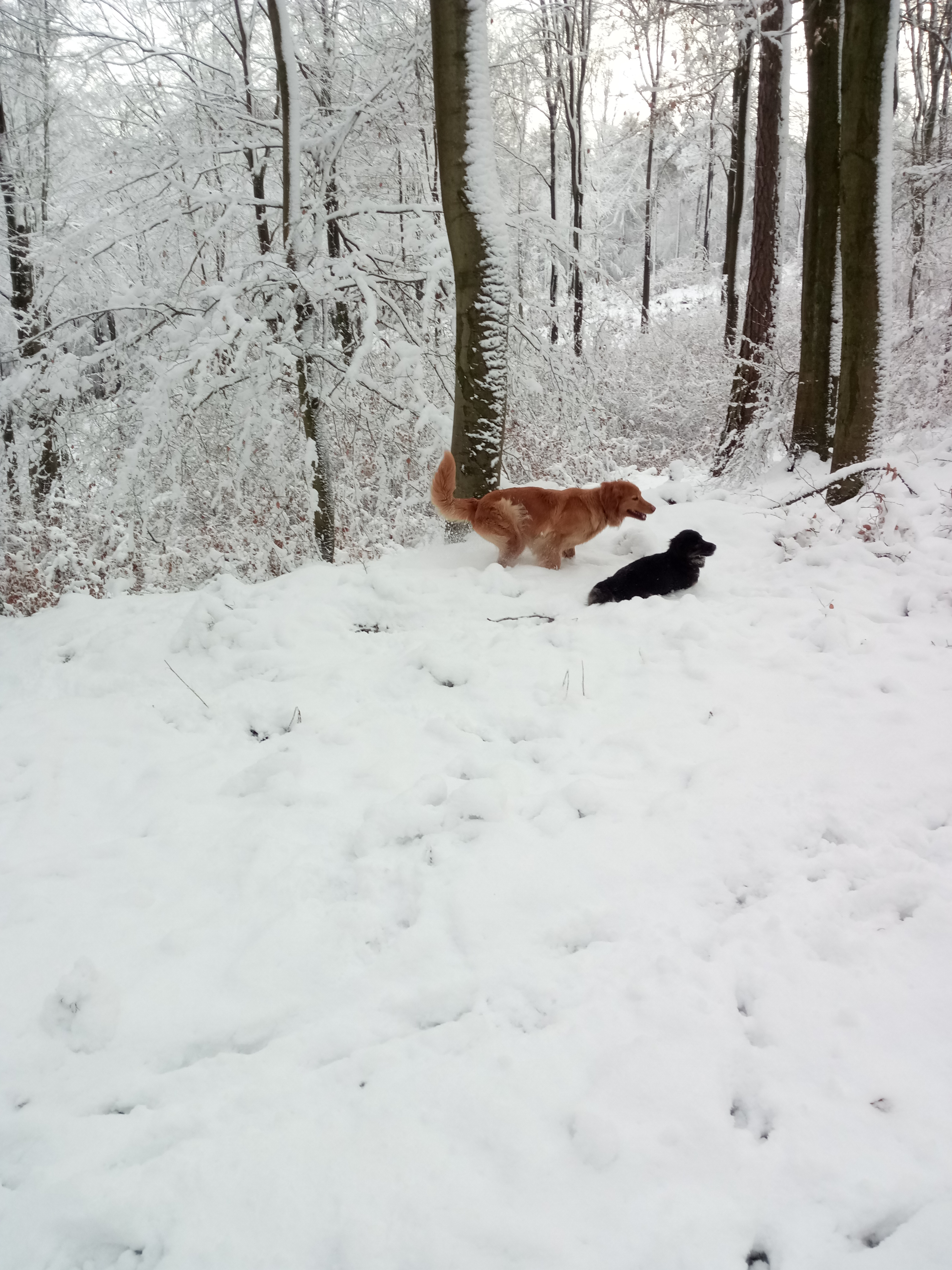 Schneetour